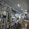 Extracto de Pulpa de Longan Ingrediente Alimentario Polisacárido de Longan Fábrica Certificada FSSC22000 En Stock Polvo de Pulpa de Longan