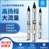 Bomba Submersível de Poço Profundo Aço Inoxidável Dayuan de Zhejiang 100Qj380V Bomba Submersível Imersa em Óleo Alto Levantamento Irrigação Agrícola Irrigação
