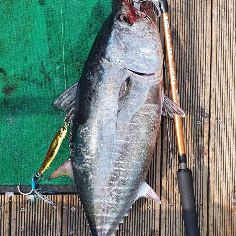 slow jig fishing (2).jpg