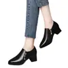 Zapatos de Salón para Mujer con Escote en V Profundo y Tacón Grueso, Nuevo Modelo Otoño 2006, Cómodos y Versátiles Zapatos de Cuero de Tacón Medio para Madres de Mediana Edad