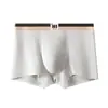 Roupa Íntima Masculina Meninos Algodão Puro Primavera & Outono Cor Sólida Meninos Adolescentes Quatro Cantos Tamanho Grande Respirável Antibacteriano Boxer Brief