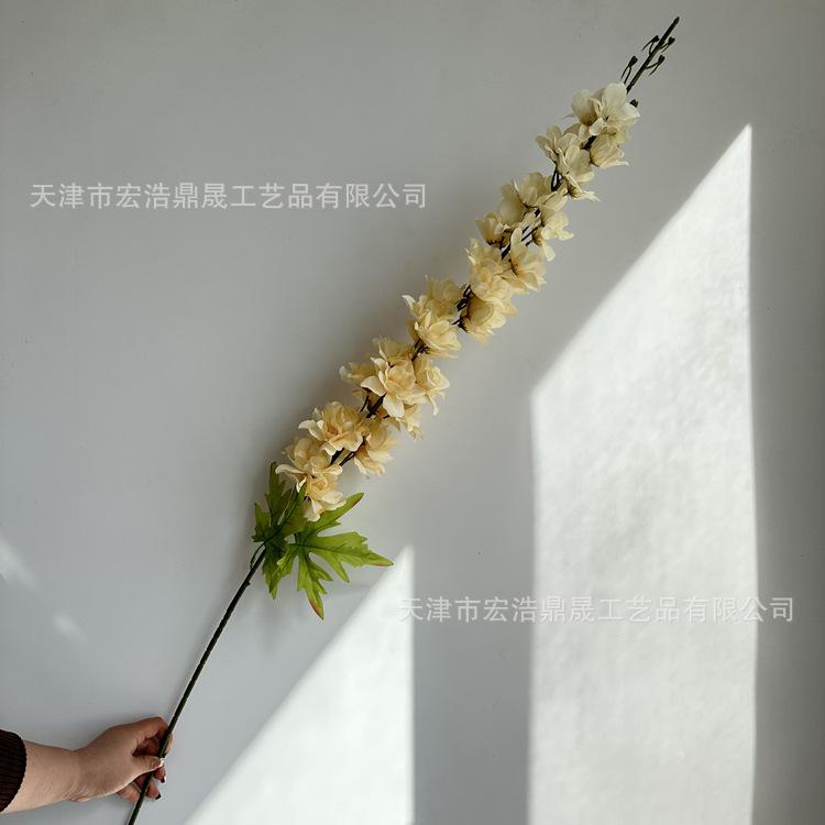 微信图片_202303151558287_副本