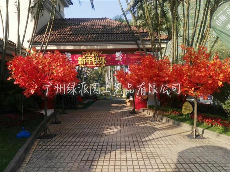 枫树红枫树绿枫106.jpg
