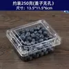 Caixa de Embalagem de Frutas Mirtilo 125g Caixa Retangular Transparente de Plástico Descartável Caixa de Amora Fruta Amora Framboesa