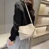Bolsas de Design de Nicho de Alta Qualidade para Mulheres 2026 Nova Coleção Primavera e Verão Tendência Venda Quente Versátil Bolsa Transversal Bolsa de Mão Bolsa Saco