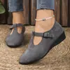 Sapatos Femininos Tamanho Grande para Comércio Exterior, Novo Estilo Outono, Estilo Europeu e Americano Transfronteiriço, Bico Fino, Boca Rasa, Fivela, Anabela, Mocassins Atacado