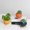 Maceta Carnosa Jarrón de Cerámica Morandi Moderno Simple Creativo Arreglo Floral Planta Verde Marco de Hierro Bola Hidropónica Juego de Flores