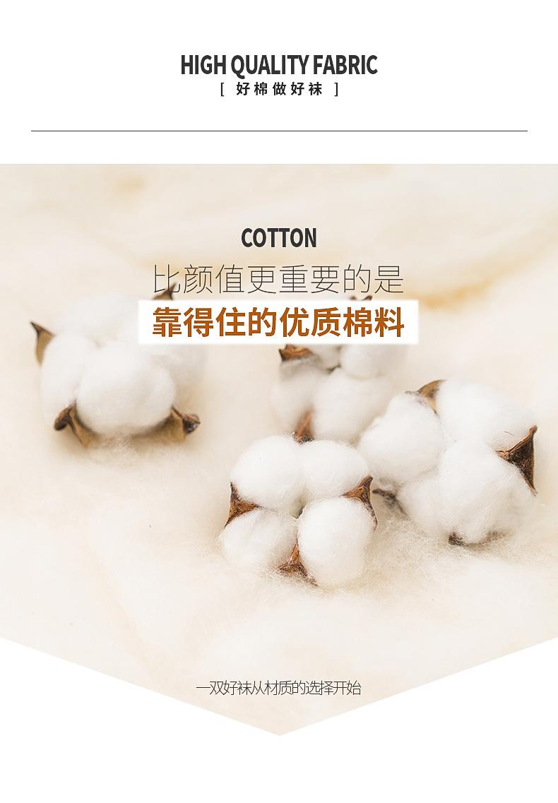 小熊竖条纹_02.jpg
