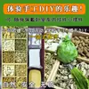 Húmedo y Fresco / Aire Hecho a Mano Sin Aditivos Bolsita Especias Bolsita Natural Artemisa DIY Festival del Bote del Dragón Medicina Herbal China Aroma Herbal