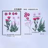 Venta caliente flor seca material repujado bolsa de flores marcapáginas gota UV pegamento resina epoxi funda para teléfono móvil material de decoración espécimen de planta