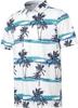 Nueva Camisa Polo para Hombre Amazon Transfronteriza Europea y Americana de Manga Corta de Secado Rápido Camisa de Golf Hawaiana 3D