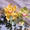 Tubo retentor de água, tubo de nutrientes, tubo para orquídeas, tubo de preservação, tubo de preservação e cultivo para buquês de flores únicas, materiais para suprimentos de floricultura