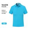 Camisa Polo de Trabalho de Verão com Gola, Roupa de Trabalho de Manga Curta, Camiseta de Secagem Rápida com Texto Impresso, Camisa Publicitária Corporativa, Camisa Cultural para Grupo