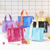 Bolsa para Fiambrera Dopamine Outdoor, Bolsa para Almuerzo al Aire Libre con Bolsa de Hielo, Papel de Aluminio Engrosado, Lindo Diseño de Niña de Dibujos Animados