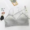 Sudeste Asiático Transfronterizo Chaleco Tirante Venta al por Mayor Ropa Interior Sin Costuras Ropa Interior para Mujer Correa para el Pecho Almohadilla para el Pecho Ropa Exterior Top Corto de Tubo