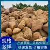 Piedra de cera amarilla Venta al por mayor roca natural de cera amarilla piedra de cera amarilla piedra de revestimiento Liuxi borde de estanque de peces fabricante de piedra de cera amarilla