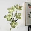 5 Orquídeas Phalaenopsis Artificiales para Arreglos Florales de Boda, Orquídeas Mariposa Falsas, Flores Artificiales Phalaenopsis