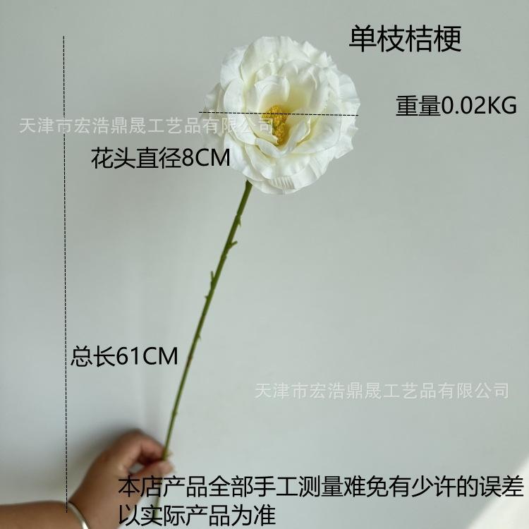 尺寸图