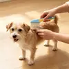 Peine para Pulgas de Mascotas, Peine de Acero Inoxidable, Peine de Dientes Finos y Agujas Largas, Peine de Acero, Artículos de Limpieza, Peine para Aseo de Mascotas