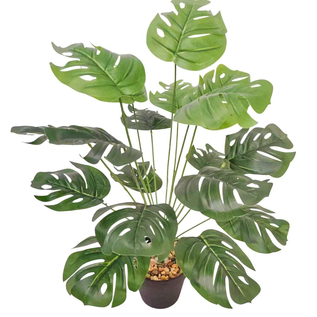 微信图片_20230306101151