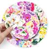 50 Stickers Graffiti de Phalaenopsis Personalizados Transfronterizos Pequeños Frescos Plantas Flores Decorativas Funda de Teléfono Maleta Pegatinas