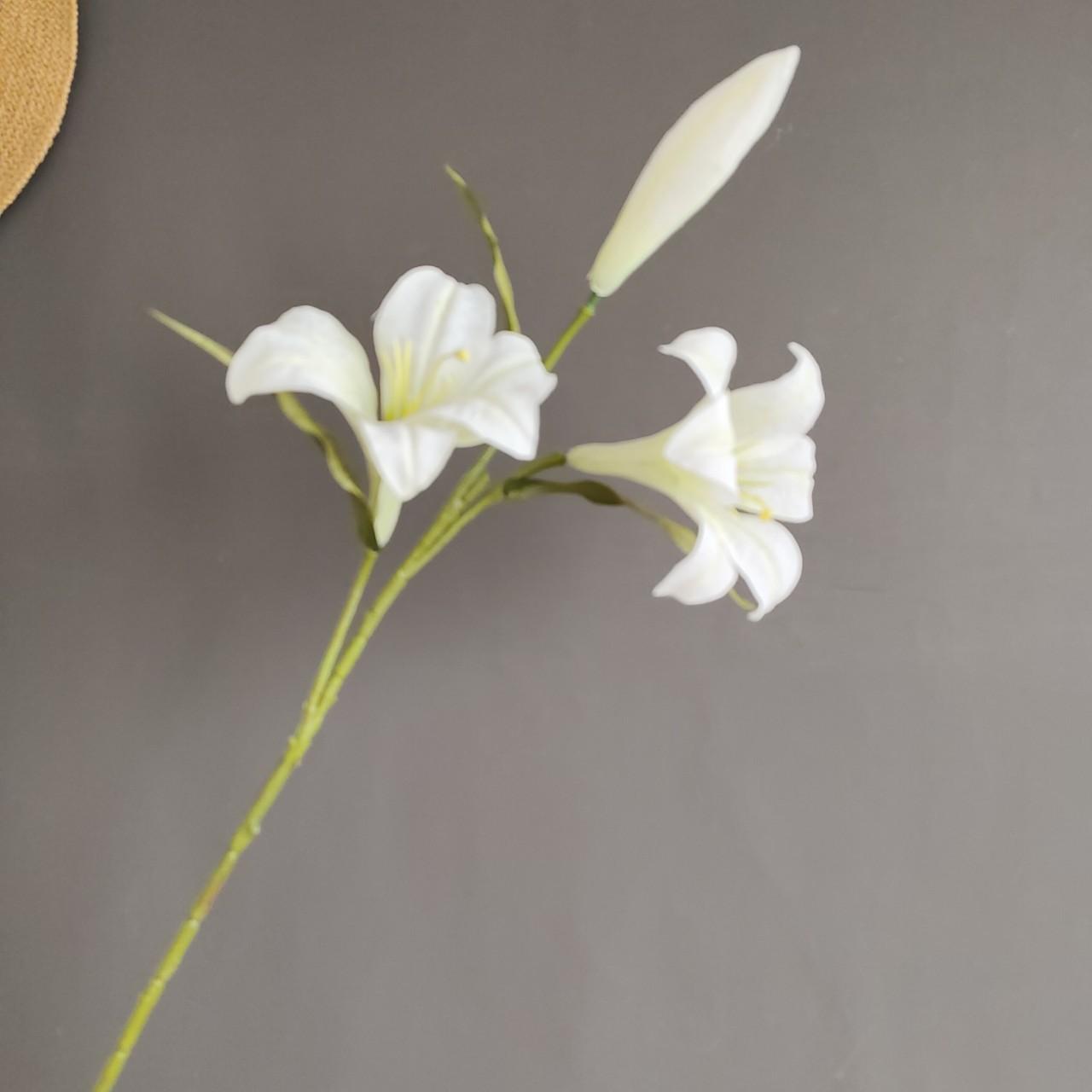 upload