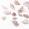 Colgante de Concha Natural Material Galvanizado Hecho a Mano DIY Aretes Campana de Viento Adornos Colgantes Colgante Creativo Hecho a Mano