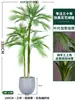 Palmera Areca Artificial Grande de Lujo de Gama Alta, Planta Verde, Árbol Falso, Planta de Bambú Cola de Fénix para Decoración de Paisajismo Tropical de Interiores