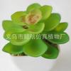 Suculenta Artificial Cabeça de Flor de Suculenta Artificial Bonsai Artificial Acessórios DIY Fabricante Conjunto de Cabeças de Flor de Suculenta Cor Personalizada