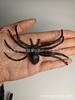 Accesorios de Decoración de Halloween Araña Lápida Fantasma Muerte Cráneo Gato Negro Murciélago Transfronterizo Juguetes de Truco