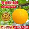 Bolas Atrapamoscas, Extra Pegajosas, Impermeables, para Moscas de la Fruta Grandes, Avispas, Huertos de Melones, Invernaderos, Bolas Pegajosas para Insectos, Amarillo-Verde, Disponibles para Venta al por Mayor Transfronteriza desde Fabricantes