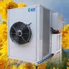 Horno Secador Jinkai Air Energy Seda Dorada Crisantemo Real