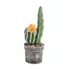Bonsai de combinação de cactos, flores artificiais, plantas tropicais, plantas em vaso, decorações de interior, cactos suculentos de alta qualidade para vendas transfronteiriças