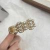 Pinza grande para la parte posterior de la cabeza, pinza de tiburón, pinza para el cabello, accesorios para el cabello, disco para el cabello, accesorios para el cabello con medio lazo de sentido avanzado, tocados