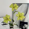 Lírio-do-vale Impresso em 3D, Hemerocallis, Flores de Lírio Artificiais, Decorações para Casa e Casamento, Decoração de Casamento Arte Floral, Flores de Seda