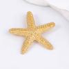 Personalidad transfronteriza simple moda aleación estrella de mar todo partido broche playa marina ocio estilo vacacional mujer