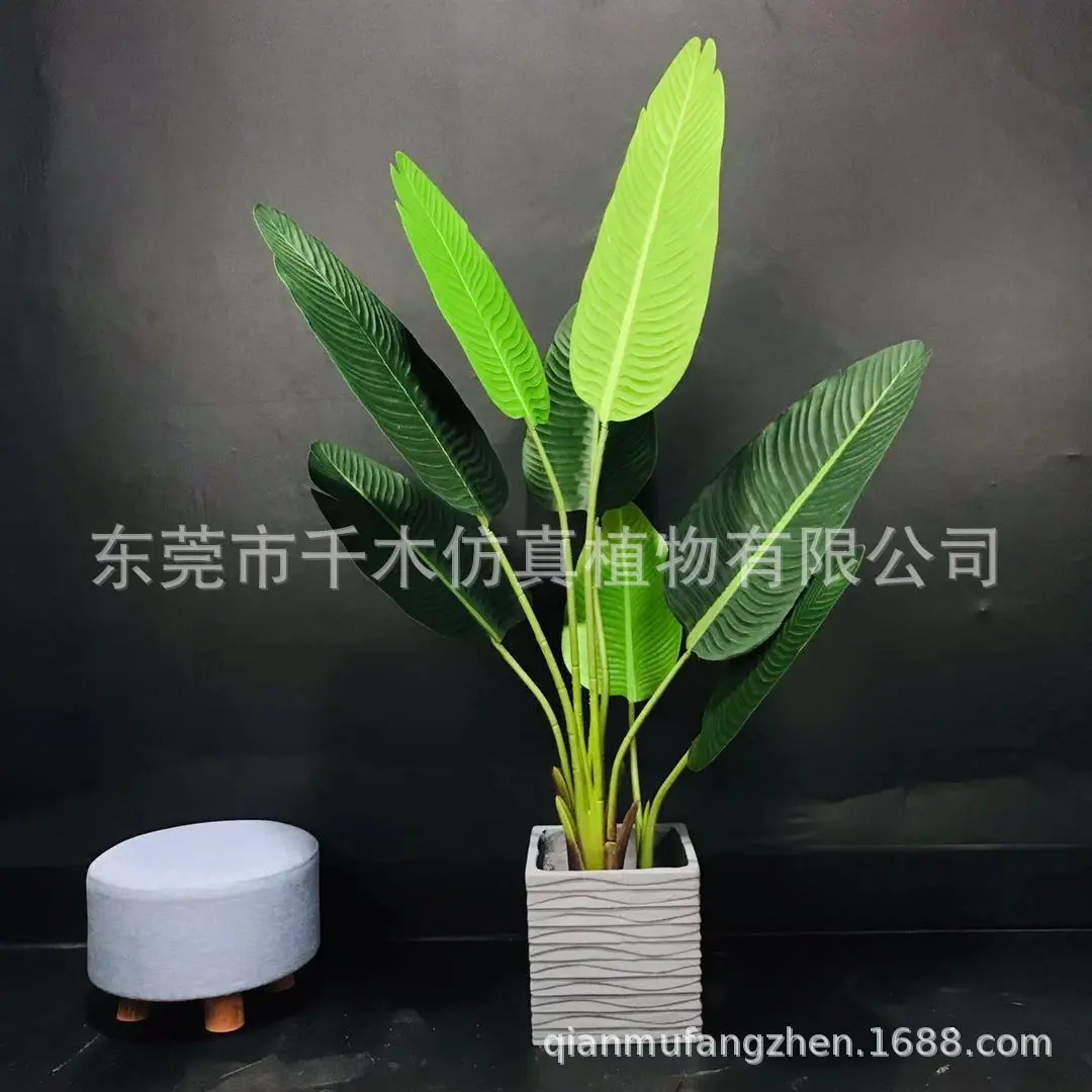 微信图片_2019081919454114