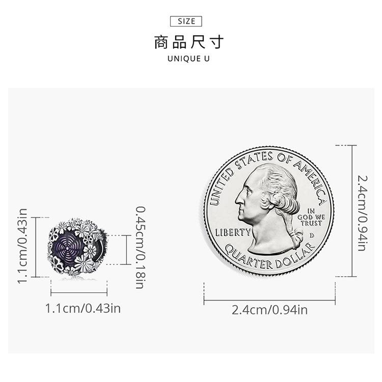SCC2096_04.jpg