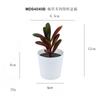Set de Bonsái de Suculentas de Plástico Mini en Stock, Suculenta Artificial Creativa de Amazon, Flor Artificial Transfronteriza Planta en Maceta Pequeña