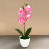 Flor Artificial Orquídea Mariposa 4 Flores Bonsái Fabricante Planta Artificial Adornos Creativos Decoración de Interiores Flor Falsa Planta en Maceta Artificial