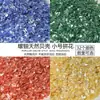 Fragmentos de concha 2-3 mm tamaño pequeño fragmentos de mosaico nácar DIY broche hecho a mano clip para el pelo adornos otros