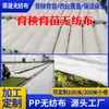 Fabricantes de tela no tejida agrícola suministran cubierta de película plástica para invernadero, conservación de calor y humidificación, tela no tejida de PP para cultivo de plántulas, tela no tejida