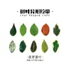Cinta Shushengji con Forma de Hoja Simulada, Pegatinas de Material para Diario Pila de Hojas Caídas, Hojas de Arce Vintage para Campos Elíseos