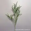 Plantas Verdes, Hierba de Espárrago, Pino Dorado de Mil Capas, Hojas Verdes para Decoración de Techo, Flores Artificiales al por Mayor, Enredaderas de Plantas Verdes Artificiales