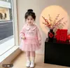 Nuevo Conjunto de Sudadera de Malla Lindo Casual Estilo Coreano para Niñas con Cuello de Muñeca de Moda Otoñal