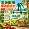 Bolsa Térmica TNT Estilo Presente Logotipo Personalizado Frutos do Mar Produtos Frescos Folha de Alumínio Bolsa de Embalagem Refrigeração de Alimentos Portátil