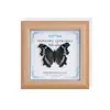 Marco de Marco de Espécimen de Mariposa Real Dorada con Manchas Moderno Simple Pintura Decorativa Regalo para Sala de Estar Marco de Espécimen