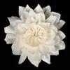 Flores de Palha Rosa Atacado 8cm para Decoração de Casa, Flores Secas de Hotel, Flores para Difusor de Aroma Sem Chama, Feito à Mão