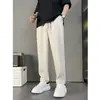 Calça Social Masculina Nova de Verão Fluida Seda Lisa Caimento Anti-rugas Calça Casual Calça Masculina de Corte Reto Levemente Afunilada Versátil Calça Longa
