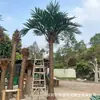 Árbol de coco artificial a gran escala, fibra de vidrio, resistente a los rayos UV, apto para uso en exteriores e interiores, ideal para hoteles, centros comerciales y diseño de paisajes tropicales